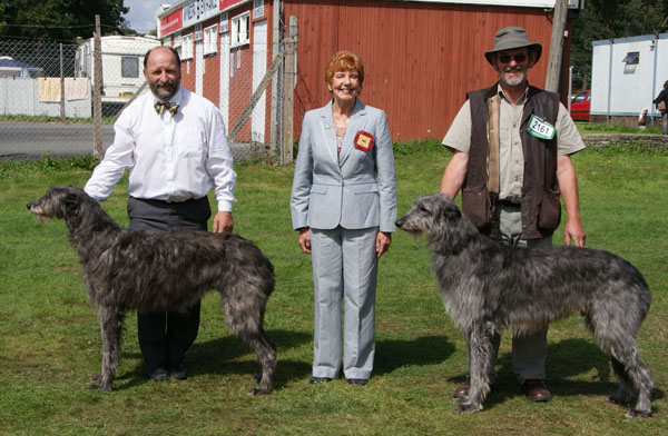 Reserve CC winners Welsh Kennel Club 2011